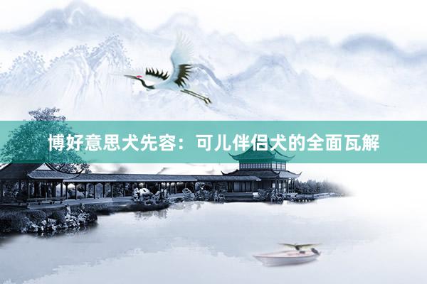 博好意思犬先容：可儿伴侣犬的全面瓦解