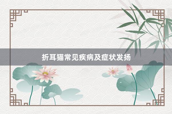 折耳猫常见疾病及症状发扬